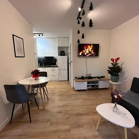 Nowoczesny Z Ogrodem Krakkó