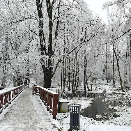 Nowoczesny Z Ogrodem * Cracovia