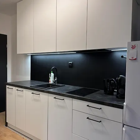 Nowoczesny Z Ogrodem Krakau