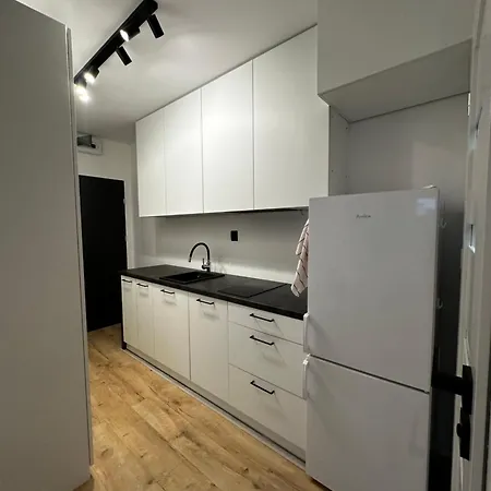 Nowoczesny Z Ogrodem * Krakau